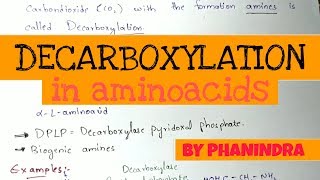 Decarboxylation of Aminoacids  Aminoacids metabolism [upl. by Gusba992]