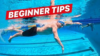 How to Swim Freestyle for Beginner Adults [upl. by Jardena]