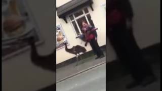 MAN WALKS HIS EMU DOWN THE STREET [upl. by Lunseth]