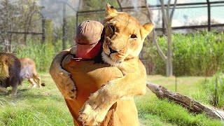 Animals Reunited With Owners After Years [upl. by Ahens]