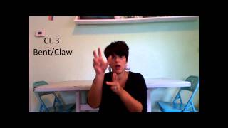 Learn ASL in 31 Days Day 25 Classifiers [upl. by Marashio]