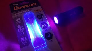 Harbor Freight Quantum UV Flashlight Review [upl. by Lahsram]