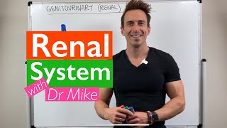 Renal System  Overview [upl. by Kayla616]