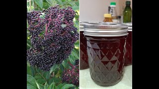 Elderberry Syrup  Harvest To Canned [upl. by Enilatan]