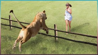 Animals Reunited With Owner After Years [upl. by Saunders]