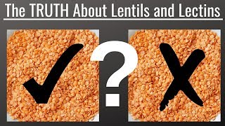 Eating Lentils The TRUTH About Lentils and Lectins [upl. by Kinata]