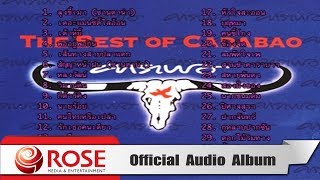 THE BEST OF CARABAO  คาราบาว Official Audio Album [upl. by Leiuqese820]