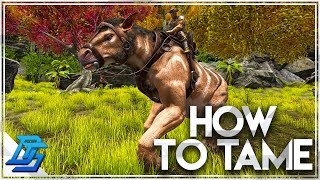 How To Tame A Chalicotherium  Ark Survival Evolved [upl. by Neelyar]