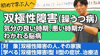 第二部各論 第１章３節 双極性障害Ⅰ型Ⅱ型（躁うつ病）について解説します【精神科医が一般の方向けに病気や治療を解説するCh】 [upl. by Ennaoj]