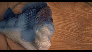 McDonalds FiletOFish Commercial 8K 60FPS [upl. by Eddy]