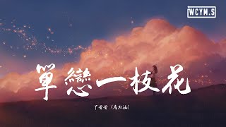 丫蛋蛋 马启涵  单恋一枝花【動態歌詞Lyrics Video】 [upl. by Mines975]