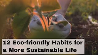 12 Eco friendly Habits for a More Sustainable Life [upl. by Nala]