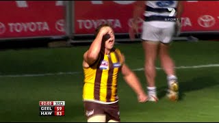 AFL 2008 Grand Final  Hawthorn highlights vs Geelong [upl. by Nosliw]