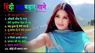 Dil Tera Deewana – Lily Matinez  Official Exclusive [upl. by Chelsae397]