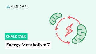 Energy Metabolism  Part 7 The Electron Transport Chain [upl. by Nelyk]