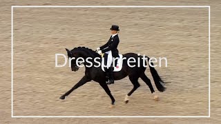 Vorgestellt Dressurreiten [upl. by Holofernes515]