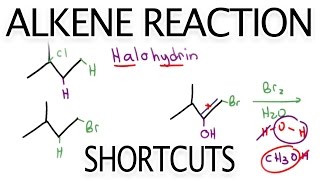 Alkene Reaction Shortcuts and Products Overview by Leah Fisch [upl. by Osbert]