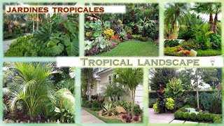 Jardines tropicales 🌴 🌿 🌾 [upl. by Laidlaw]