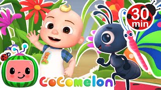 Ants Go Marching Dance  More Nursery Rhymes amp Kids Songs  CoComelon [upl. by Roth]