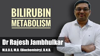 Bilirubin metabolism  Heme catabolism by Dr Rajesh Jambhulkar [upl. by Francklyn]