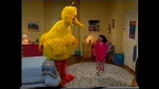 Sesame Street  Big Bird Sleeps Over at Gabis [upl. by Yrreiht732]