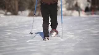 HowtoSnowshoe Learn the basics from the experts  LLBean [upl. by Nereil]