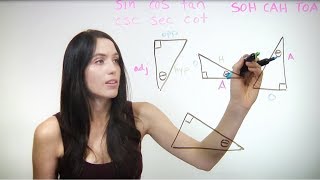 Basic Trigonometry Sin Cos Tan NancyPi [upl. by Ydnew]