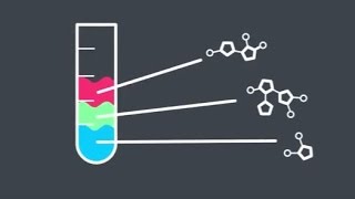 Naturwissenschaften studieren an der Universität Stuttgart [upl. by Utham]