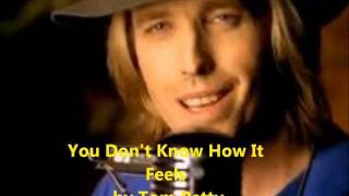 You Dont Know How It Feels Tom Petty Lyrics on screen [upl. by Kris]