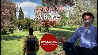 Lincredibile HANAMI di ROMA [upl. by Ahsiemaj]