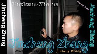 Jincheng Zhang  Ditch I Love You Background Music Instrumental Song Official Audio [upl. by Auhsot]