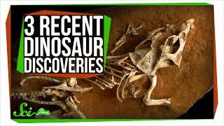 3 MindBlowing Recent Dinosaur Discoveries [upl. by Nyraa]