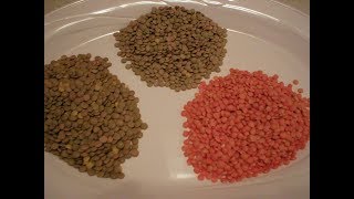 Lentils 101  How to Prepare and Cook Lentils [upl. by Alimak]