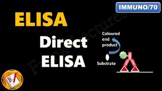 Direct ELISA FLImmuno70 [upl. by Ellerrad982]