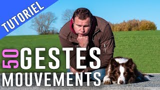 50 GESTES à APPRENDRE à mon CHIEN [upl. by Enyamert19]