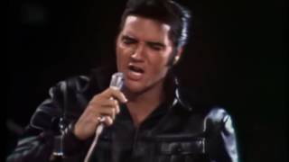 Elvis Presley  Heartbreak Hotel Hound Dog amp All Sook Up 1968 Comeback [upl. by Zilla]