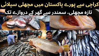 How Fresh Fish Supply to All Pakistan From Karachi Fishery  Karachi Fishry Latest Updates 2024 [upl. by Nerrak]