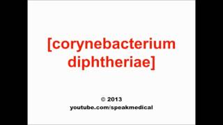 Pronounce Corynebacterium diptheriae  SpeakMedical [upl. by Kegan]