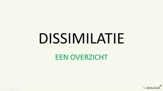 Dissimilatie  een overzicht [upl. by Ajam]