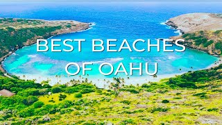 The 10 BEST BEACHES in Oahu  Living in Hawaii these are our favorites [upl. by Schoenfelder]