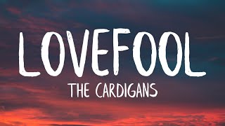 The Cardigans  Lovefool Lyrics [upl. by Enelrad]