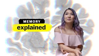 Memory Explained  FULL EPISODE  Vox  Netflix [upl. by Remmus58]