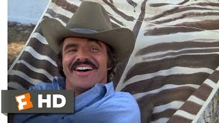 Smokey and the Bandit 110 Movie CLIP  A Real Challenge 1977 HD [upl. by Rimidalg469]