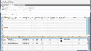 Proplanner ProTime Estimation  Recording Stopwatch Observations [upl. by Akoek]