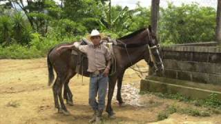 Charanga campesina Calixto Ochoa  version original [upl. by Gerda452]