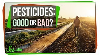 How Safe Are Pesticides Really [upl. by Emoraj589]