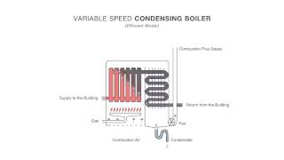 How an Efficient Condensing Boiler Works [upl. by Samuel746]