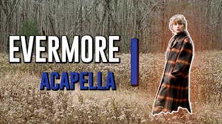 evermore by taylor swift  acapella full album  IND3FINITE [upl. by Jeno417]