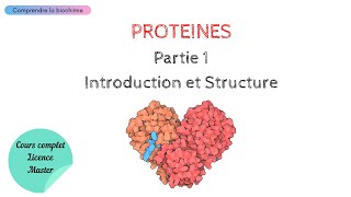 PROTÉINES  INTRODUCTION ET STRUCTURE  Biochimie Facile [upl. by Hock]