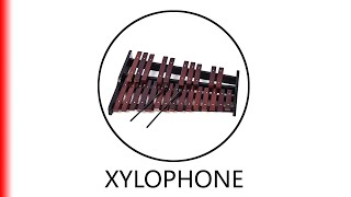 XYLOPHONE [upl. by Ydnic700]